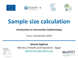 Sample Size Calculation Ppt Download