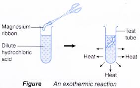Endothermic absorbs heat, and exothermic produces heat. How Can Energy Be Changed In A Chemical Reaction A Plus Topper