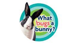 Carrots should be fed sparingly, as they are very high in carbohydrate and may upset gi bacterial flora. particularly good vegetables include the dark leafy greens like romaine lettuce, bok choy, mustard greens, carrot tops, cilantro, watercress, basil. What Can Rabbits Eat Rabbit Diet Myths Rspca