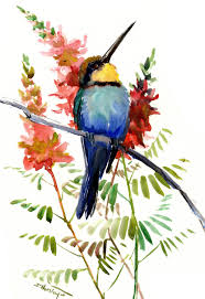 Beautiful Bird Artwork Birds And Flowers Bee Eater Bird Etsy Watercolor Bird Bird Drawings Birds Painting