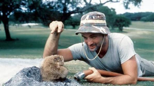 Caddyshack' at 40: How South Fla. set tee time for classic comedy