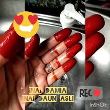 Cara merangsang wanita dengan menafaatkan titik geli / syaraf pembangkit gairah sehingga ia minta hubungan lagi. Inai Damia Inai Asli Daun Puchong Selangor