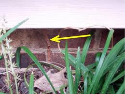 Termites in garden soil, among other potential pests, don't just impose a structural threat to your house. Termites Preventing Problems In Existing Homes Nc State Extension Publications
