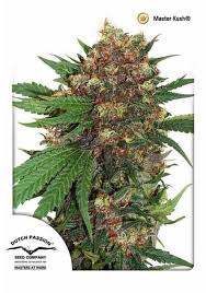 Mega marijuana store offers a strong range of marijuana products. Marihuana Navigation Menu