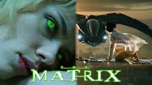 No trailer for the matrix 4 has dropped yet and probably won't for a while, but we'll post it here as soon as it lands. Thrilling Fan Made Trailer For A Matrix 4 Reboot Featuring Scenes From Other Popular Films