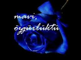 images?qtbnANd9GcTB4Aw407XeOiwxwTEvc bef88qrNX0 l6vFiCAz7FyNYvO4sx3