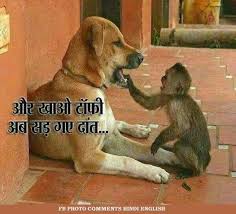 Hindi Photo Comments Image Just For Fun To Use On Facebook Whatsapp Etc Funny Images With Quotes Funny Dog Pictures Dog Quotes