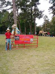 Apart from their resistance to high temperatures, camels can stay long periods without food and water. Frank And Friends Camel Dairy Home Facebook