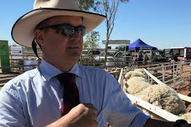 All the results from the Landsborough Flock Ewe Show