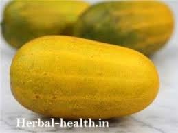 Health Benefits Of Yellow Cucumber Dosakaya Yellow Cucumber Heirloom Seeds Cucumber