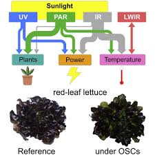 Maybe you would like to learn more about one of these? Balancing Crop Production And Energy Harvesting In Organic Solar Powered Greenhouses Sciencedirect