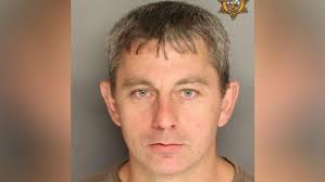 Tip leads to Ladson drugs, guns raid; Man facing 9 charges