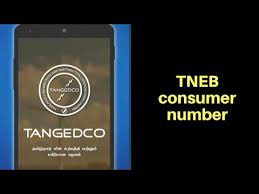 One user can add 24 consumer numbers using add consumer no button in his user account and shall pay during the corresponding collection cycle for the respective consumer.every consumer number has to be individually selected for making payment. Tneb Consumer Number Eb Service Number Format Finder Search In Tamil Youtube