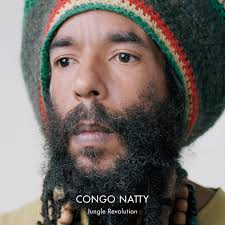 Key & BPM for Jungle Souljah by Congo Natty