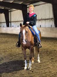 Sound Equine Options