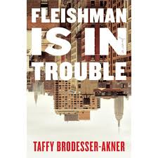 Getting started with dating apps. Fleishman Is In Trouble By Taffy Brodesser Akner Open Letters Review