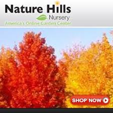 If we buy the plant for $7.00 we charge $9.50 for the plant & also a planting fee $1.25 per gal. How Much Does It Cost To Plant A Tree Home For The Harvest