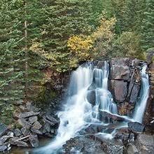 Tribute login for family members of Irving Curtiss Roberts