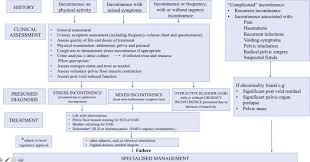 Management Of Female Stress Urinary Incontinence A Care