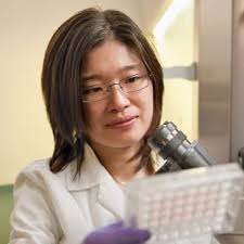 A Comprehensive Approach