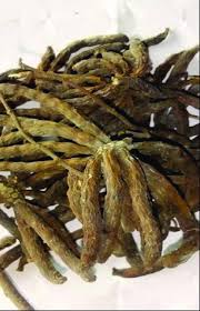 Image result for Xylopia aethiopica