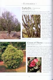 We build an online identification guide. A Naturalist S Guide To The Trees Shrubs Of India Pakistan Nepal Bhutan Bangladesh And Sri Lanka Nhbs Field Guides Natural History