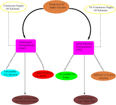 Biosynthesis And Industrial Applications Of A Amylase A Review Springerlink