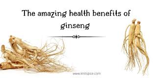 It improves the body metabolism. Scienticfially Proven Health Bnefits Of Ginseng Knitspice