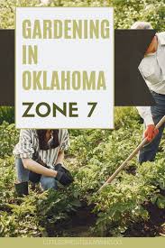 However, the key to using any planting calendar well is to make adjustments each year based on. Gardening In Oklahoma Zone 7