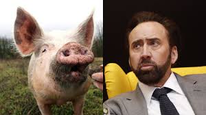 A truffle hunter who lives alone in the oregonian wilderness must return to his past in portland in search of his beloved foraging pig after she is kidnapped. Nicolas Cage S New Movie Is Like National Treasure But About A Pig