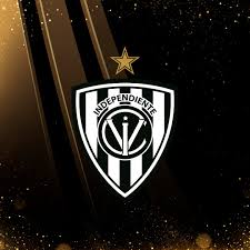 Cuenta oficial idv toda la actualidad e información oficial idv! Independiente Del Valle Cierra La Fase De Grupos De La Libertadores Con La Mayor Posesion Del Balon