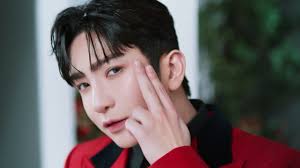 Omelette Digital Archives