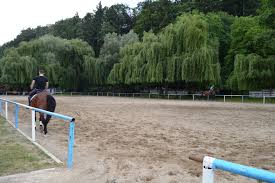 Baza hipica piatra neamt archive. Cum AratÄƒ È™trandul Din Piatra NeamÈ› È™i Cat CostÄƒ Serviciile Galerie Foto