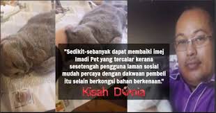 Polis menahan pemilik dan pengurus kedai haiwan imadi pet global sdn bhd berhubung kes penipuan skim pelaburan kucing di tiga negeri melibatkan kerugian sebanyak rm1.56 juta. Viralkan Video Kucing Mati Sehingga Syarikat Terjejas Imadi Pet Saman Suami Isteri Rm2 5 Juta Kisah Dunia