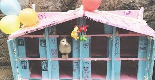 Belediye Ve Gonullulerin Elinden Kedi Evi Ornekleri Kedi Evi Kedi Evler
