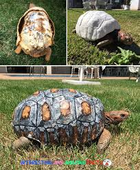 The Story of Hope and Innovation: The First 3D-Printed Shell for an ...