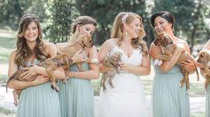 Puppies bring a sense of laughter and joy that's unexplainable, says photographer mychelle levan. Bridesmaids Hold Puppies Instead Of Flowers In Adorable Wedding Photos