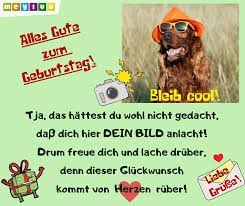 6) mach dir keine sorgen, ich bin gleich hier an deiner seite, um dir zu helfen, den tod deiner jugend zu trauern. Geburtstagsbilder Tierisch Lustig Schon Meyluu