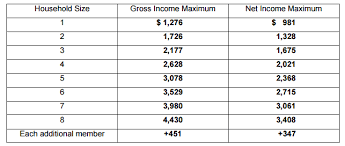 Virginia food stamps application information. How To Apply For Food Stamps In Virginia Online Food Stamps Now