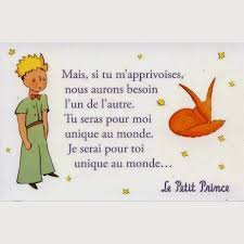 Voir plus d'idées sur le thème le petit prince citation, prince, le petit prince. Citation Le Petit Prince Image 4976645 On Favim Com