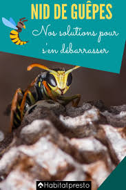 Nid De Guepes 4 Solutions Efficaces Pour S En Debarrasser En 2020 Guepe Nid De Guepes Repulsif Guepe