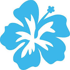 Amazon Com Hibiscus Flower 5 Light Blue Vinyl Decal Sticker Automotive Leaf Template Flower Clipart Hibiscus Flowers Browse our hawaiian flower svg collection for the very best in custom shoes, sneakers, apparel, and accessories by independent artists. amazon com hibiscus flower 5 light