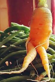 Pin On Delish