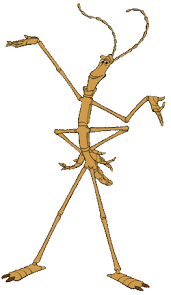 Walking sticks, or stick insects, are a group of highly camouflaged insects. Slim Pixar Wiki Fandom
