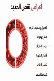 سلطة الكينوا والشمندر رائعة للي بعا