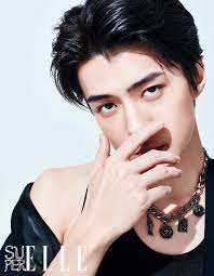 Miranda recently took fans back to 2015 and the time that exo's sehun sent her a very special gift. Sehun Profile And Facts Sehun S Ideal Type Updated