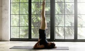 Best Free Fitness Apps Iphone Fitness Apps Free Fitness Fitness Apps Free Fitness Apps F 2020 Free Yoga Workouts Yoga Fitness Essential Yoga Poses