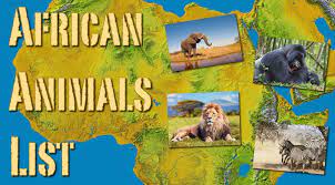 Africa has been blessed with a variety of beautiful animal species such as the carnivores, herbivores, snakes, primates, aquatic animals like crocodiles and amphibians, etc. African Animals List With Pictures Facts Information Worksheet