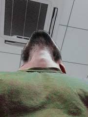 Rare side effects include weakness in vocal ability and subsequent changes welcome to adam's apple club the no. Adam S Apple Definition And Meaning