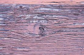 Wir als seitenbetreiber haben uns der wichtigen aufgabe angenommen, produktvarianten. Bootslack Auftragen Schutz Und Optik Handwerkertipps Einfach Erklart